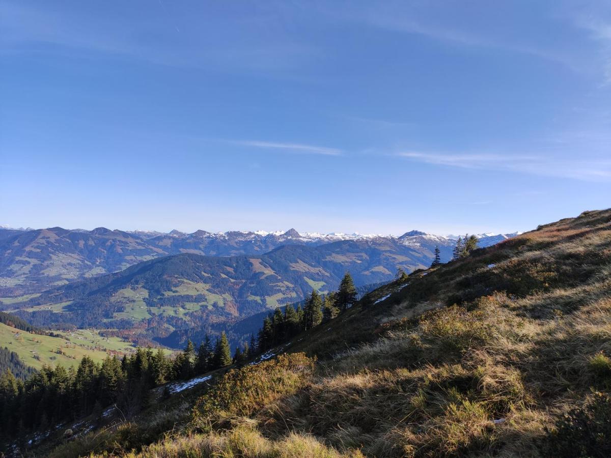Almhuette Andrea Villa Wildschonau Bagian luar foto