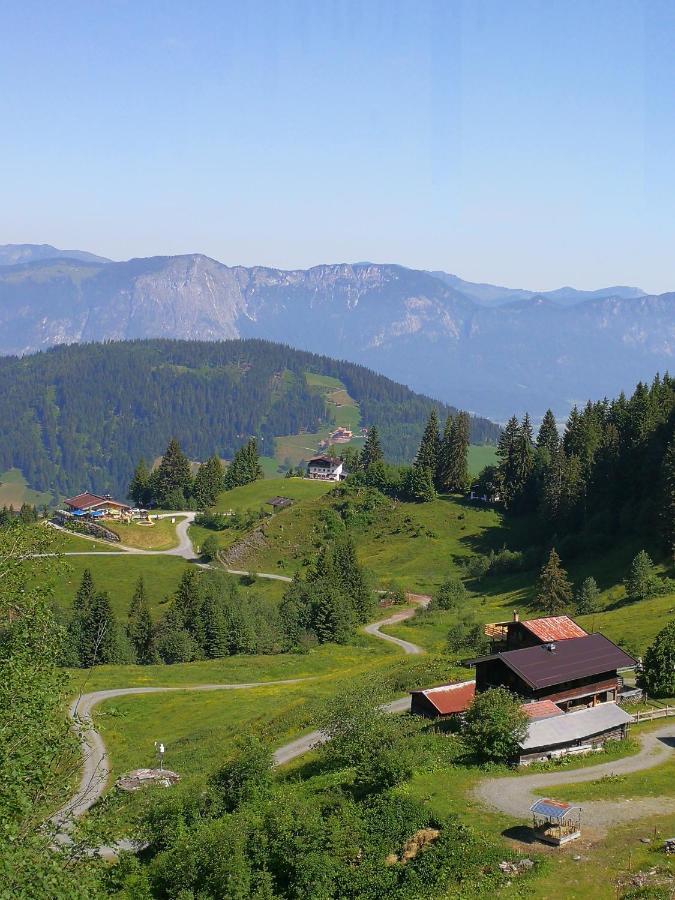 Almhuette Andrea Villa Wildschonau Bagian luar foto